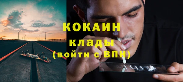 хмурый Аркадак