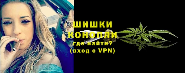 меф Арсеньев