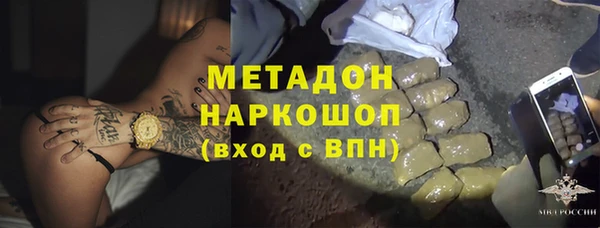 хмурый Аркадак