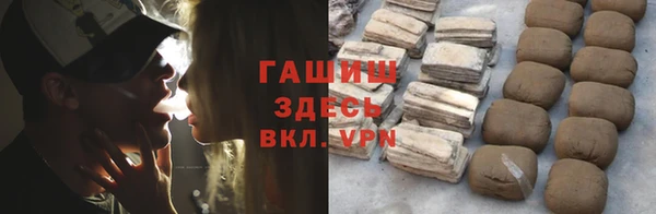 хмурый Аркадак