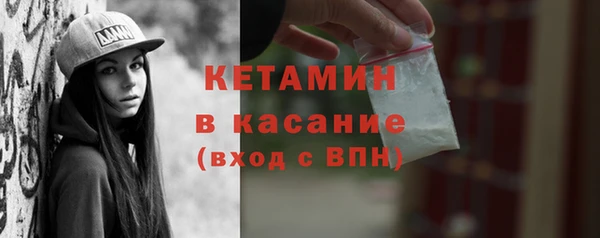 хмурый Аркадак
