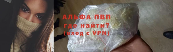 хмурый Аркадак