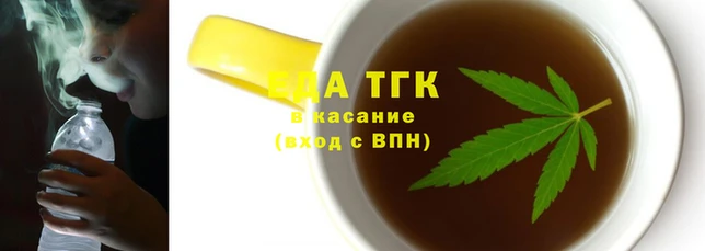 хмурый Аркадак
