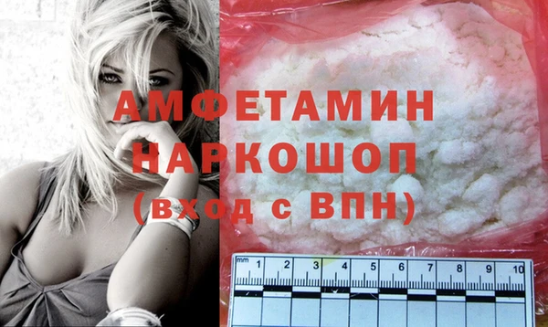 хмурый Аркадак