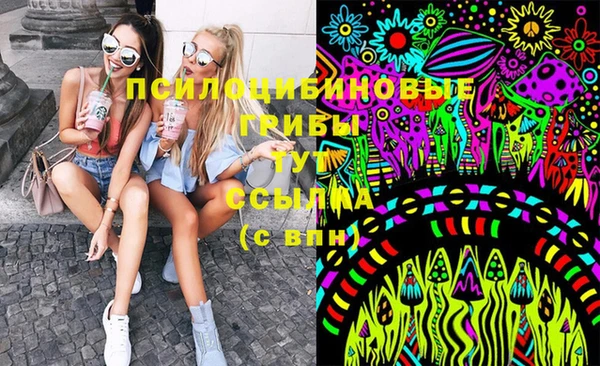 хмурый Аркадак
