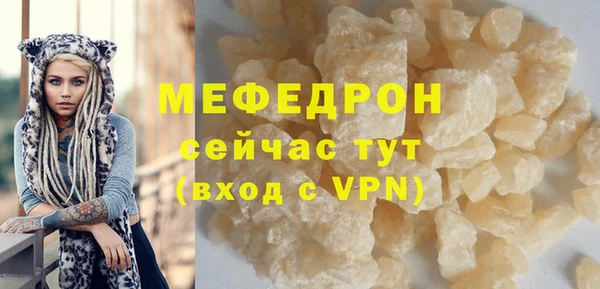 хмурый Аркадак